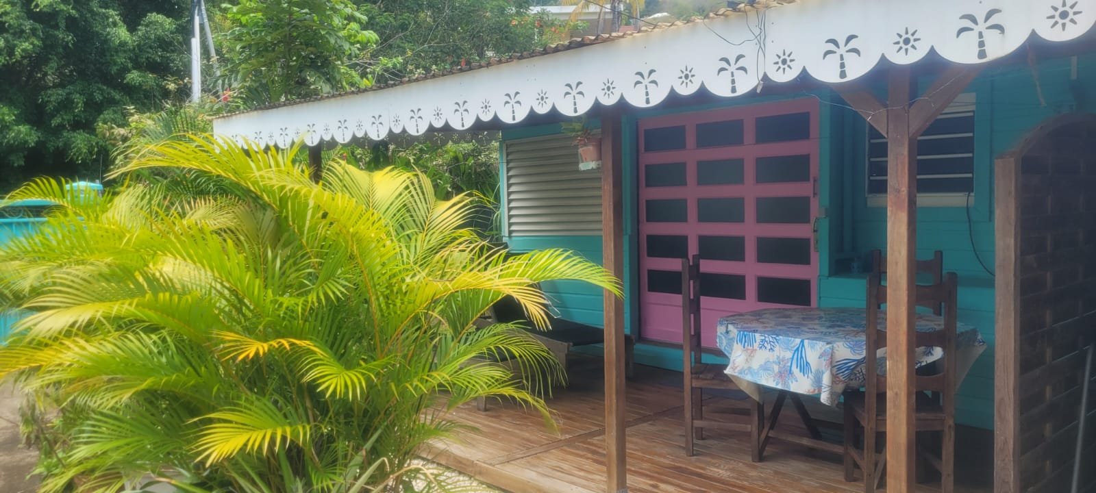 WhatsApp Image 2026-04-11 at 13.24.35(3) case caraibes